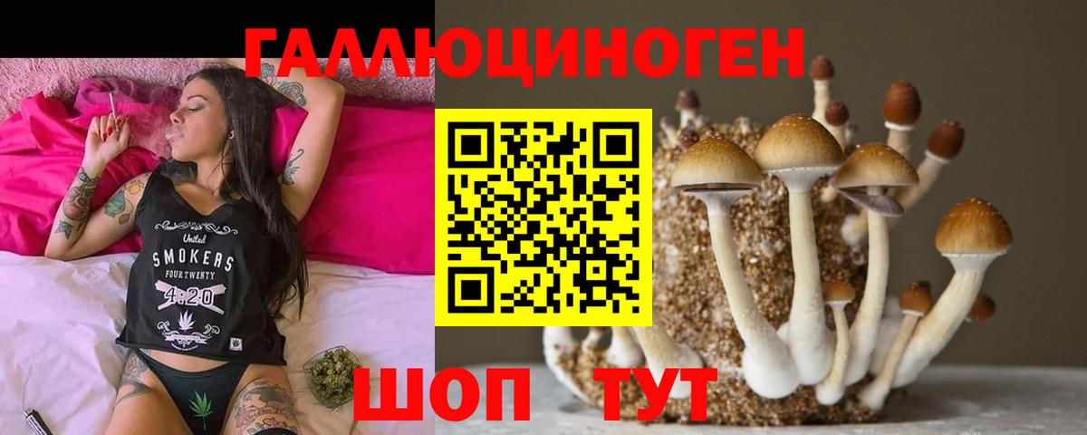 Галлюциногенные грибы MAGIC MUSHROOMS  Вход с VPN  Псилоцибиновые грибы мицелий  Ступино 